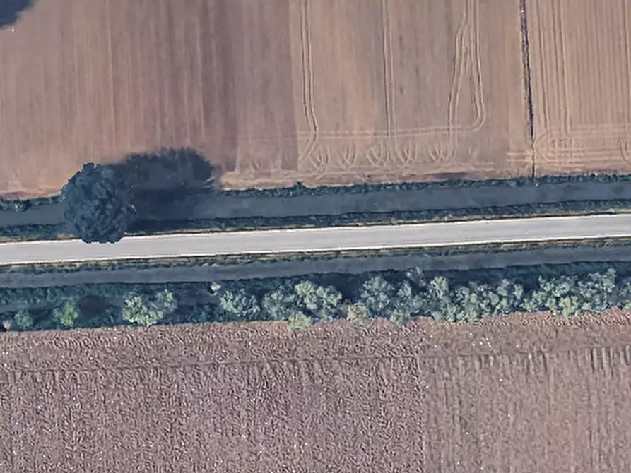 Immagine 11 di Terreno agricolo in vendita  in Via Mulazzana a Terranova Dei Passerini
