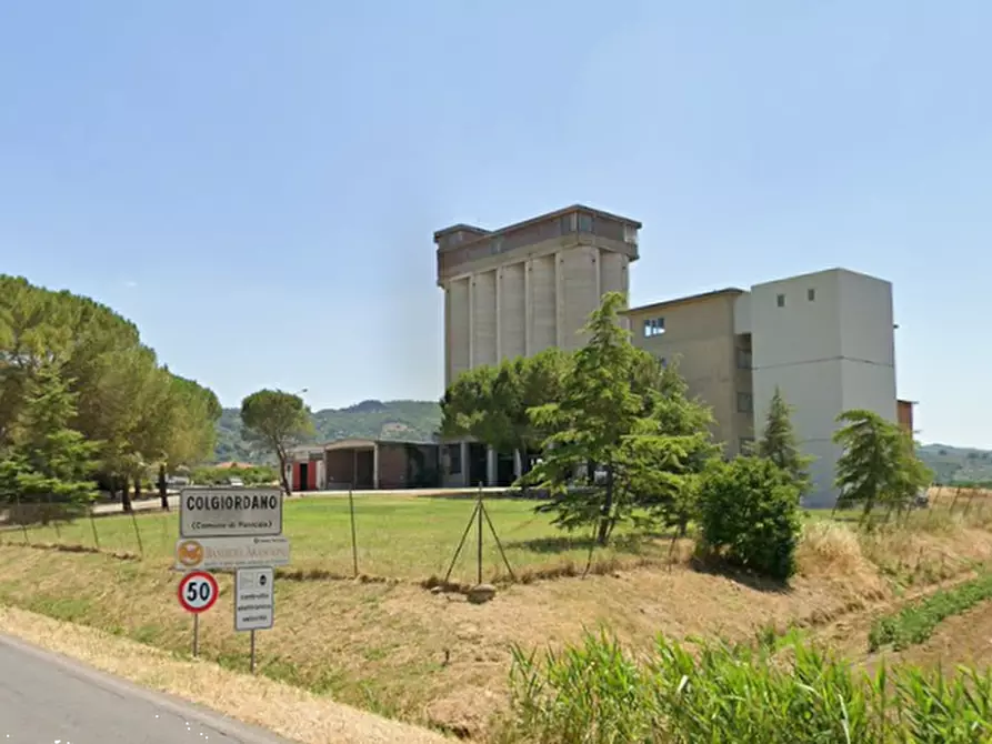 Immagine 2 di Azienda agricola in vendita  in  Via Santa Maria a Panicale