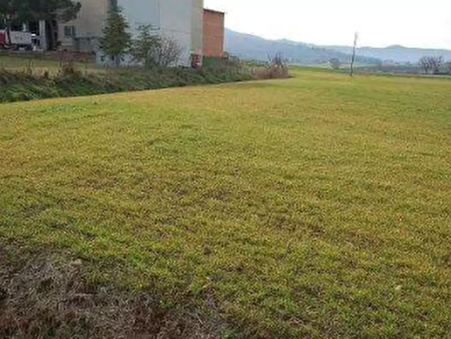 Immagine 3 di Azienda agricola in vendita  in  Via Santa Maria a Panicale