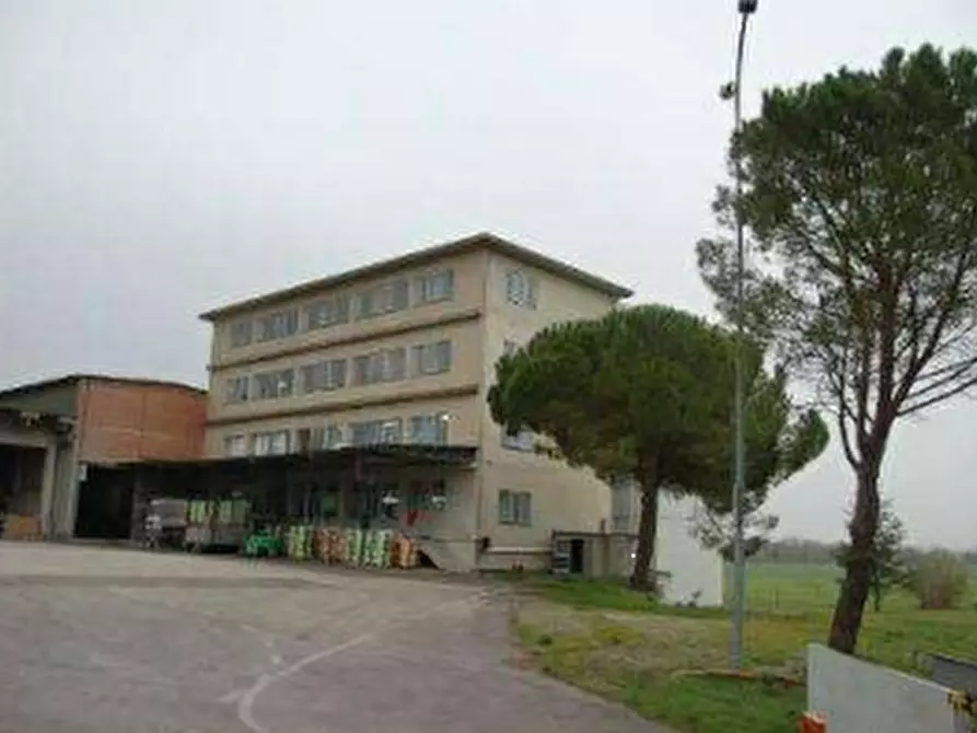 Immagine 4 di Azienda agricola in vendita  in  Via Santa Maria a Panicale