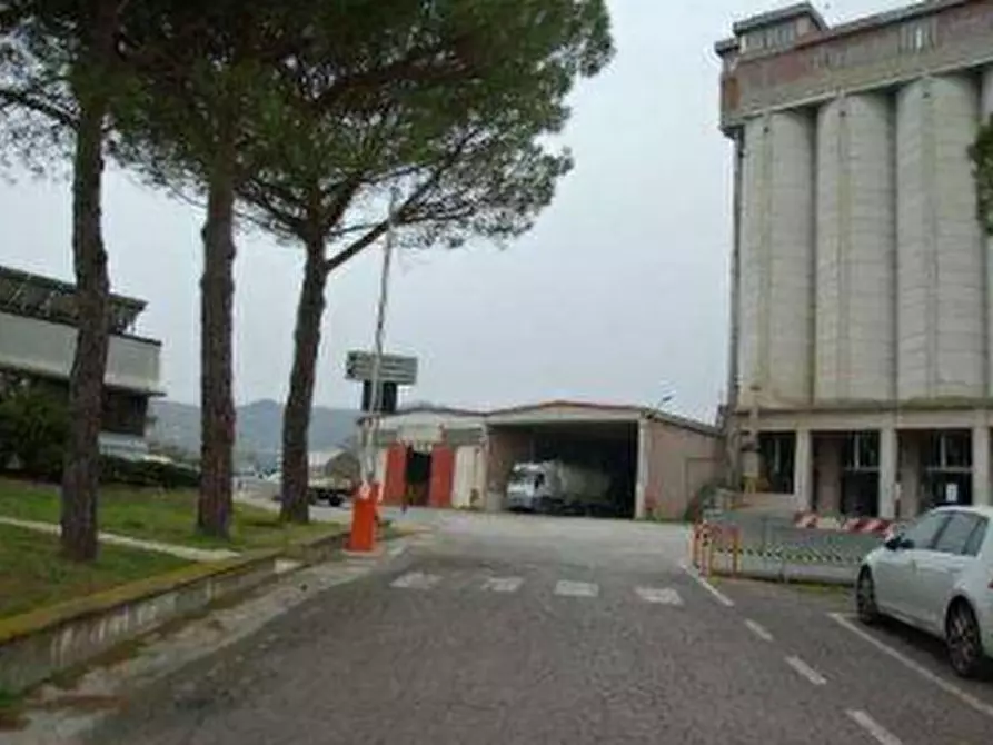 Immagine 5 di Azienda agricola in vendita  in  Via Santa Maria a Panicale
