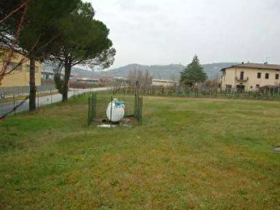 Immagine 6 di Azienda agricola in vendita  in  Via Santa Maria a Panicale
