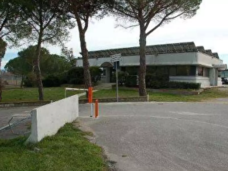 Immagine 7 di Azienda agricola in vendita  in  Via Santa Maria a Panicale