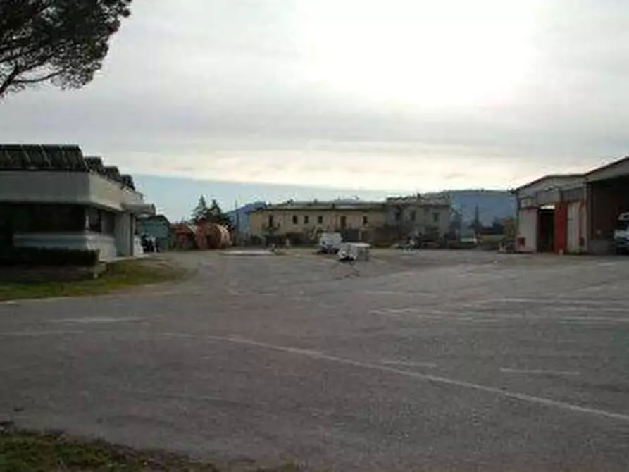 Immagine 8 di Azienda agricola in vendita  in  Via Santa Maria a Panicale