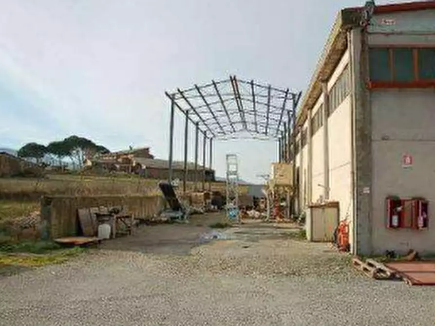 Immagine 9 di Azienda agricola in vendita  in  Via Santa Maria a Panicale