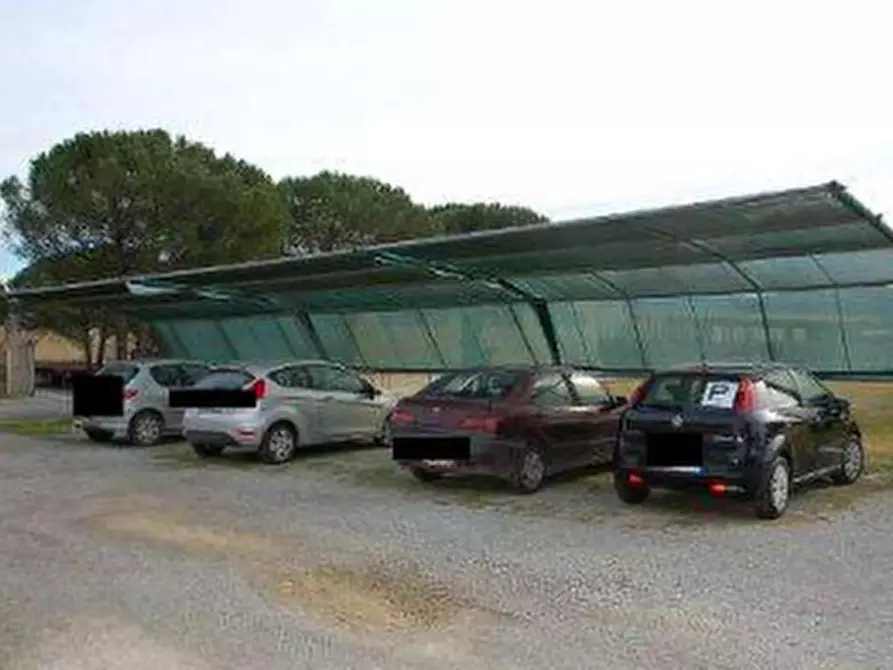Immagine 10 di Azienda agricola in vendita  in  Via Santa Maria a Panicale