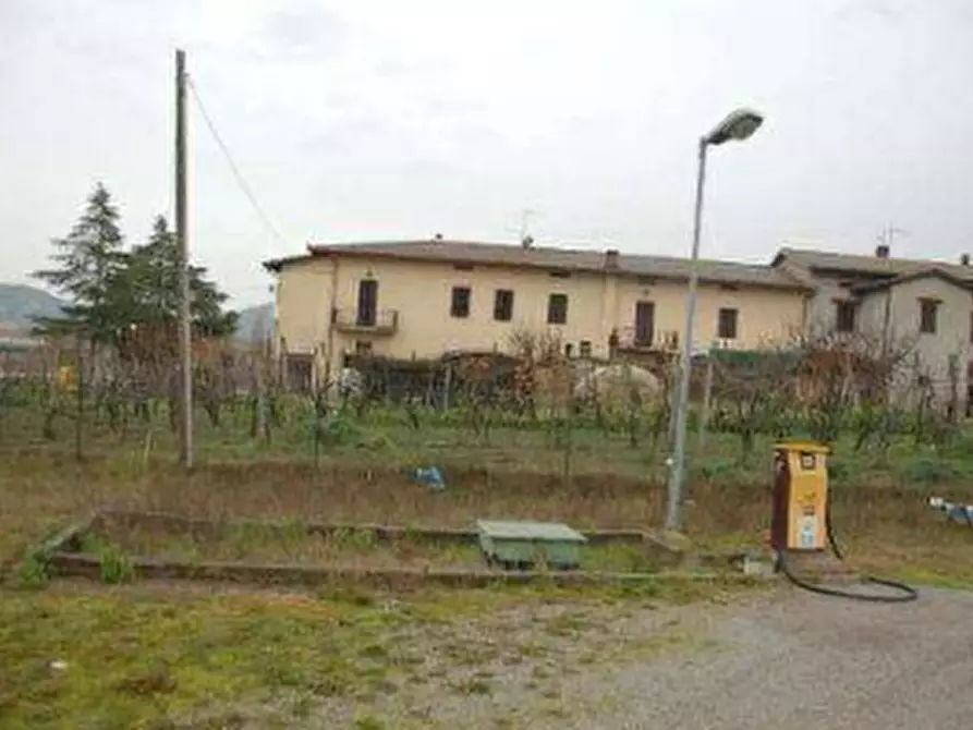 Immagine 12 di Azienda agricola in vendita  in  Via Santa Maria a Panicale