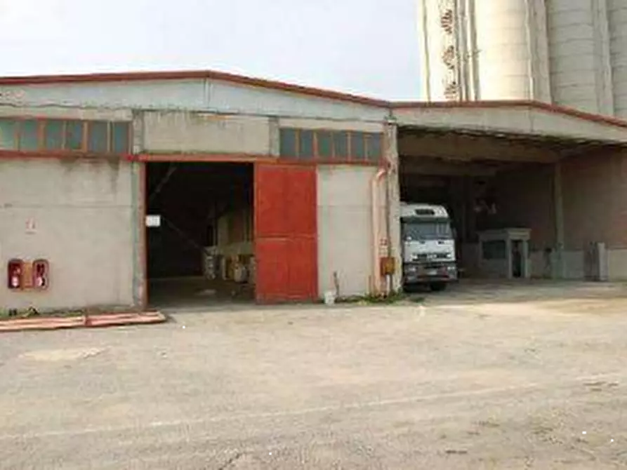 Immagine 15 di Azienda agricola in vendita  in  Via Santa Maria a Panicale