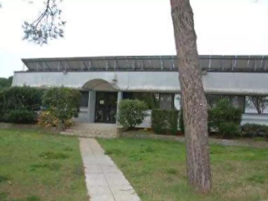 Immagine 19 di Azienda agricola in vendita  in  Via Santa Maria a Panicale