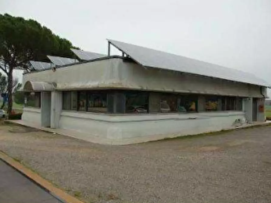 Immagine 20 di Azienda agricola in vendita  in  Via Santa Maria a Panicale