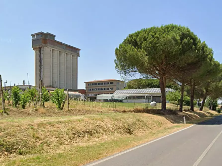 Immagine 21 di Azienda agricola in vendita  in  Via Santa Maria a Panicale