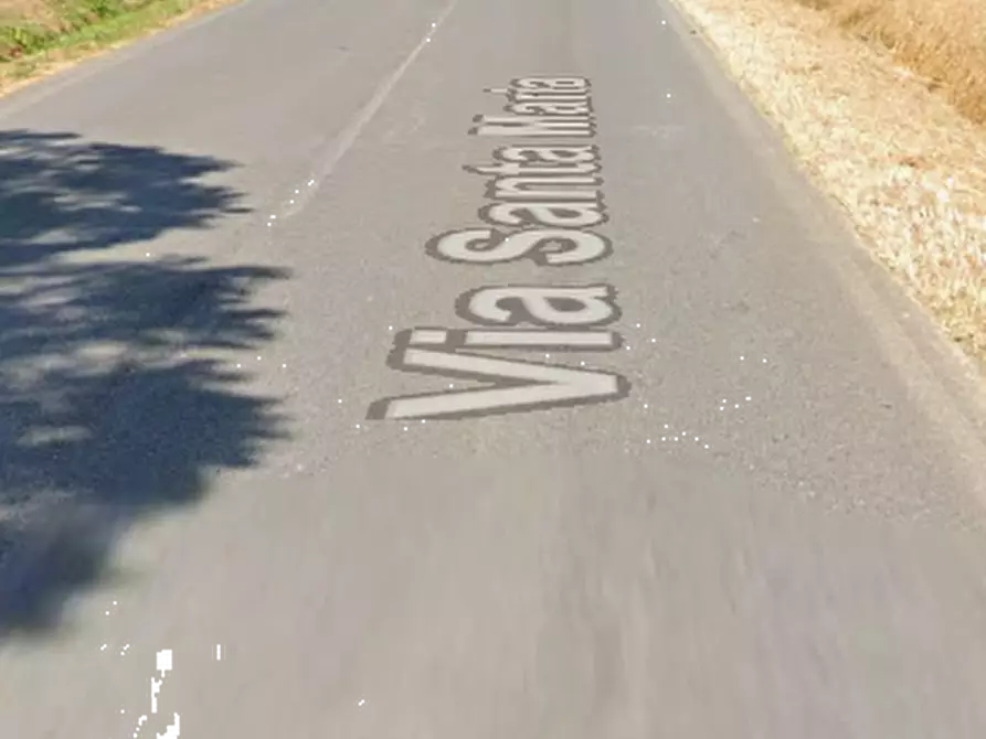 Immagine 22 di Azienda agricola in vendita  in  Via Santa Maria a Panicale