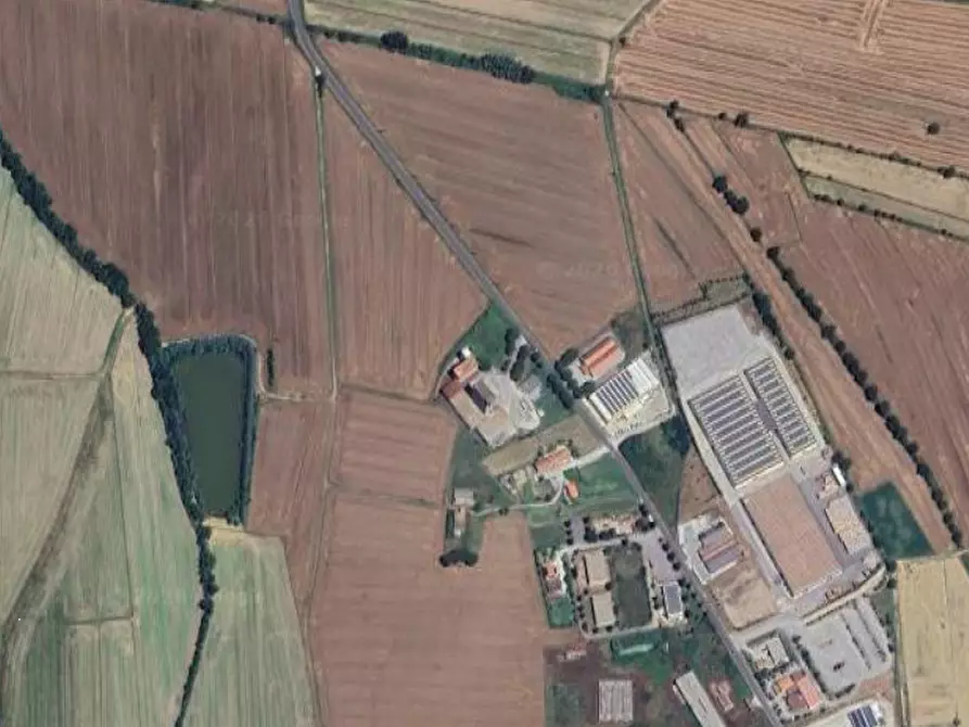 Immagine 26 di Azienda agricola in vendita  in  Via Santa Maria a Panicale