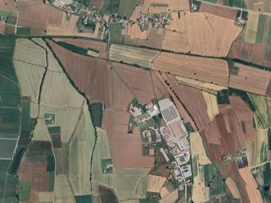 Immagine 27 di Azienda agricola in vendita  in  Via Santa Maria a Panicale