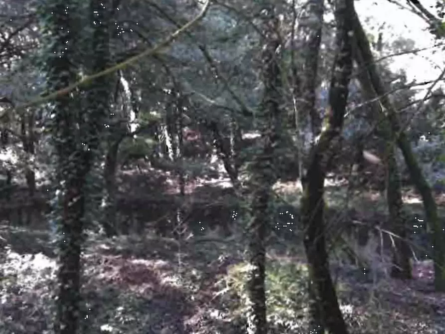 Immagine 10 di Terreno edificabile in vendita  in Località fontana a Perugia