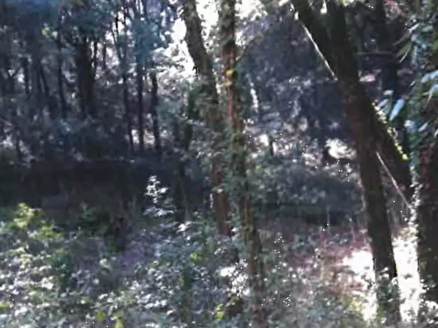Immagine 11 di Terreno edificabile in vendita  in Località fontana a Perugia