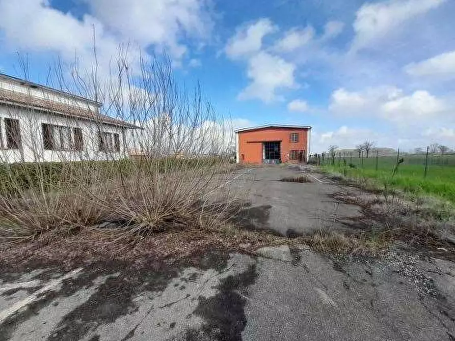 Immagine 2 di Capannone industriale in vendita  in via Angelo Cazzola a Pinarolo Po