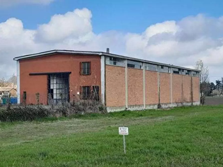 Immagine 3 di Capannone industriale in vendita  in via Angelo Cazzola a Pinarolo Po