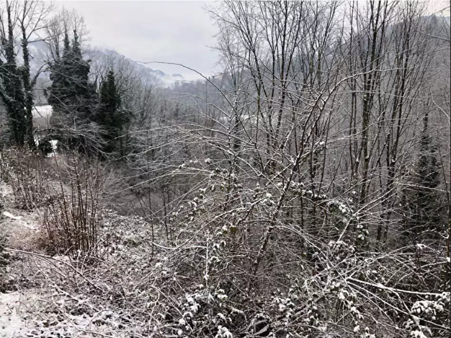 Immagine 2 di Terreno agricolo in vendita  in località Poscante a Zogno