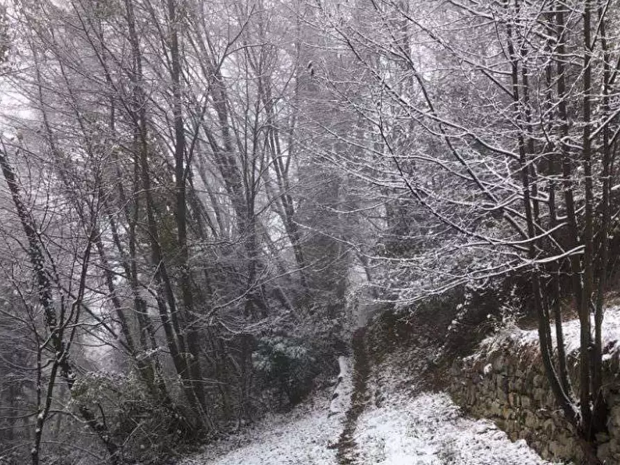 Immagine 3 di Terreno agricolo in vendita  in località Poscante a Zogno
