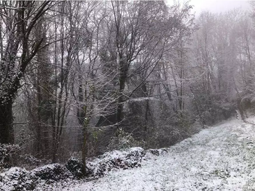 Immagine 4 di Terreno agricolo in vendita  in località Poscante a Zogno