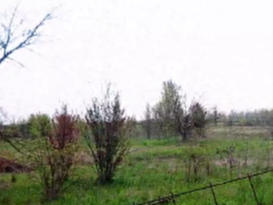 Immagine 2 di Terreno agricolo in vendita  in Via Paolo Borsellino a Nonantola