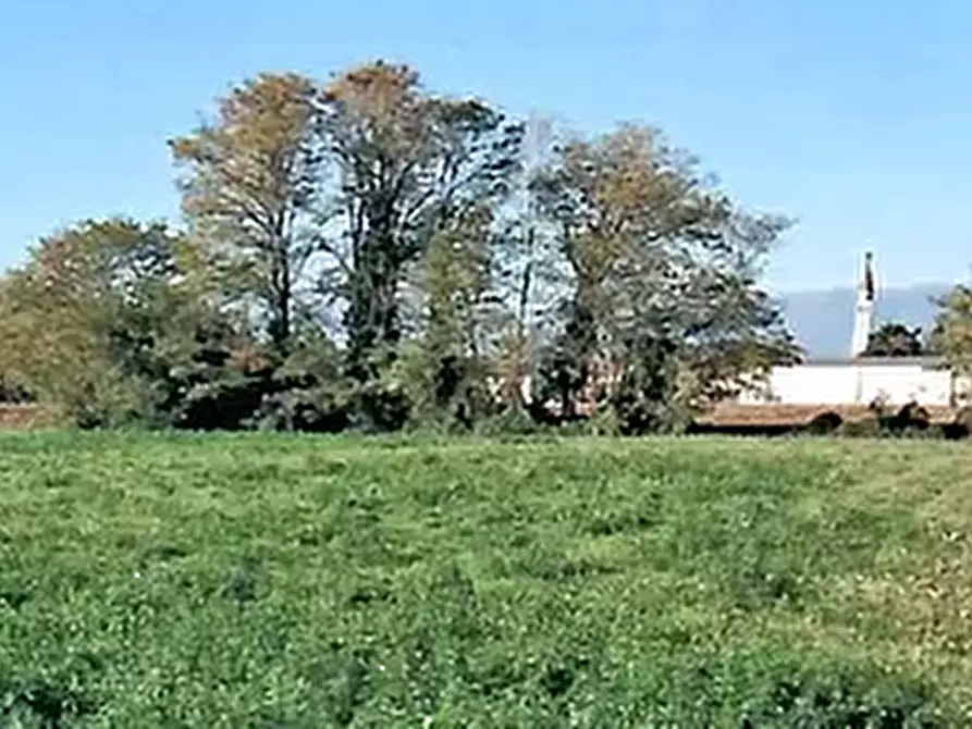 Immagine 1 di Terreno agricolo in vendita  in Via Dei Roveri a San Martino Di Lupari
