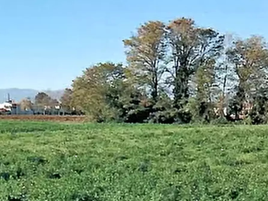 Immagine 2 di Terreno agricolo in vendita  in Via Dei Roveri a San Martino Di Lupari