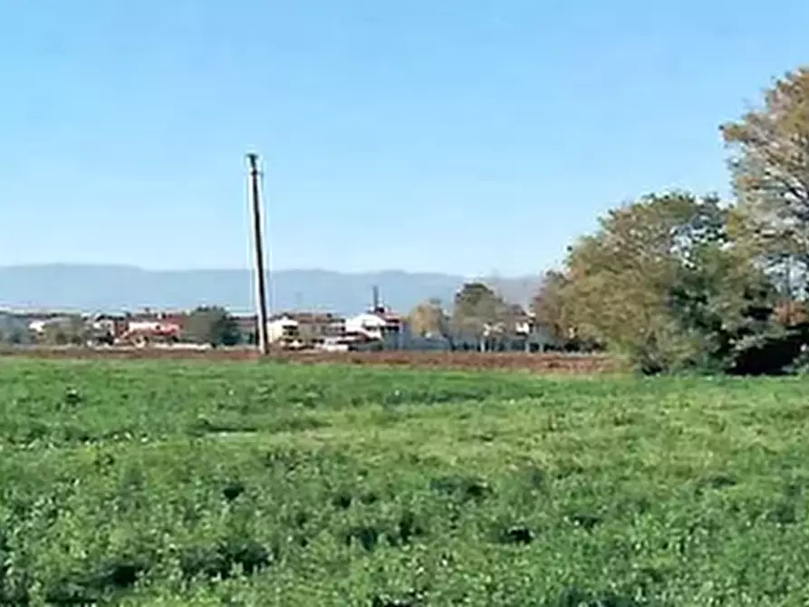 Immagine 3 di Terreno agricolo in vendita  in Via Dei Roveri a San Martino Di Lupari