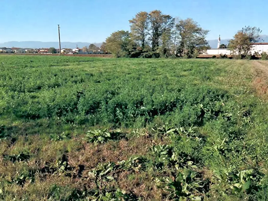 Immagine 5 di Terreno agricolo in vendita  in Via Dei Roveri a San Martino Di Lupari