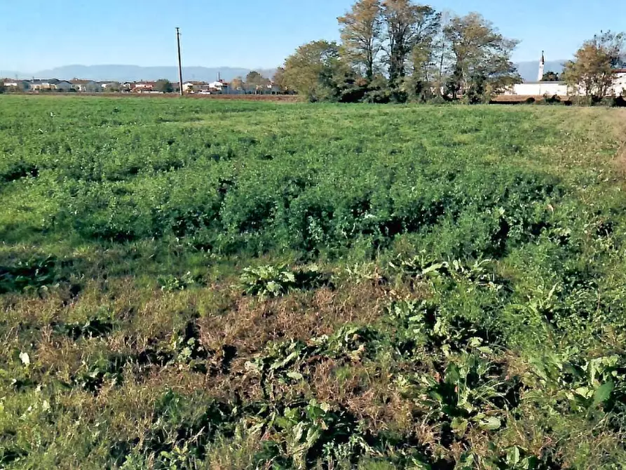 Immagine 6 di Terreno agricolo in vendita  in Via Dei Roveri a San Martino Di Lupari