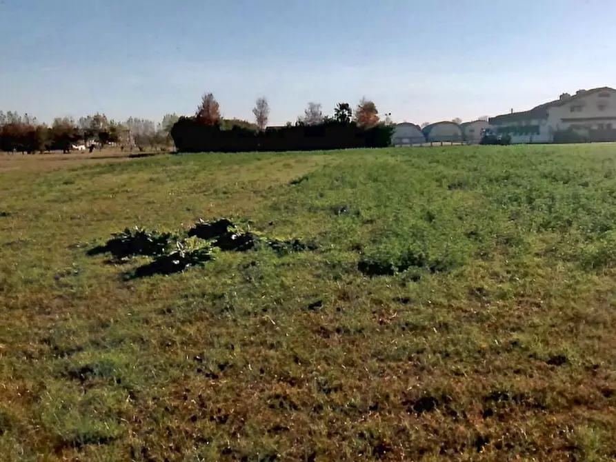 Immagine 7 di Terreno agricolo in vendita  in Via Dei Roveri a San Martino Di Lupari