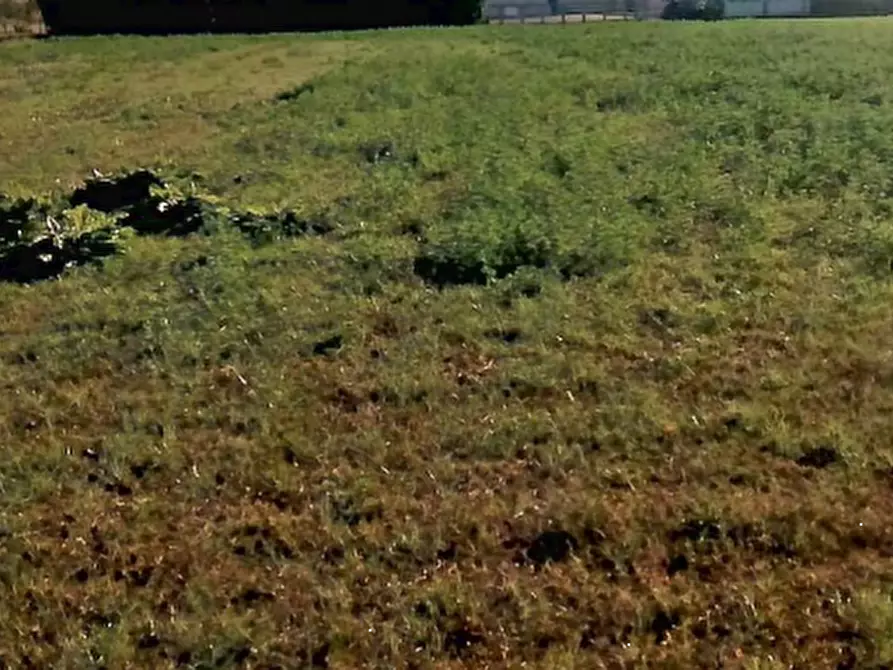 Immagine 8 di Terreno agricolo in vendita  in Via Dei Roveri a San Martino Di Lupari