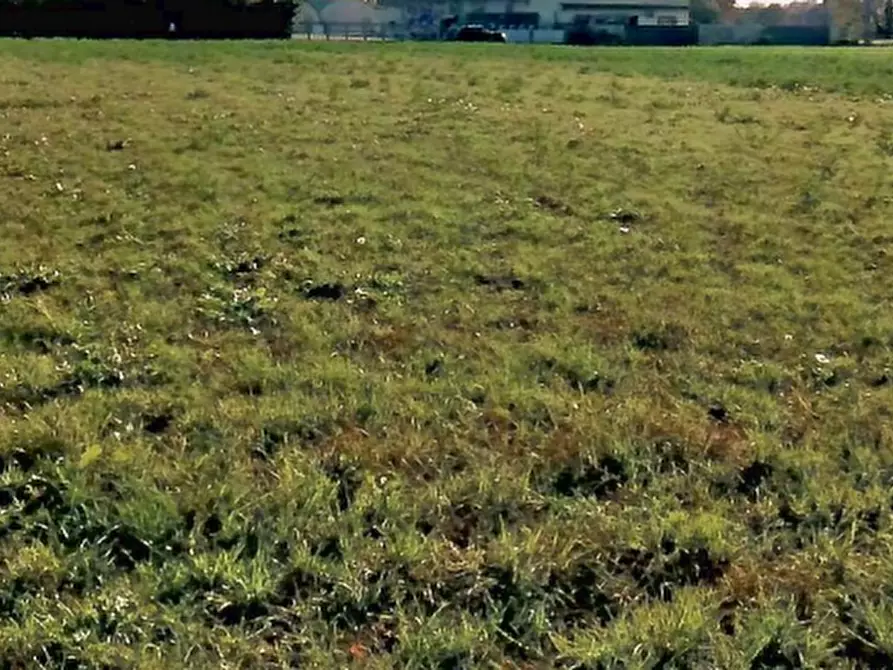Immagine 10 di Terreno agricolo in vendita  in Via Dei Roveri a San Martino Di Lupari