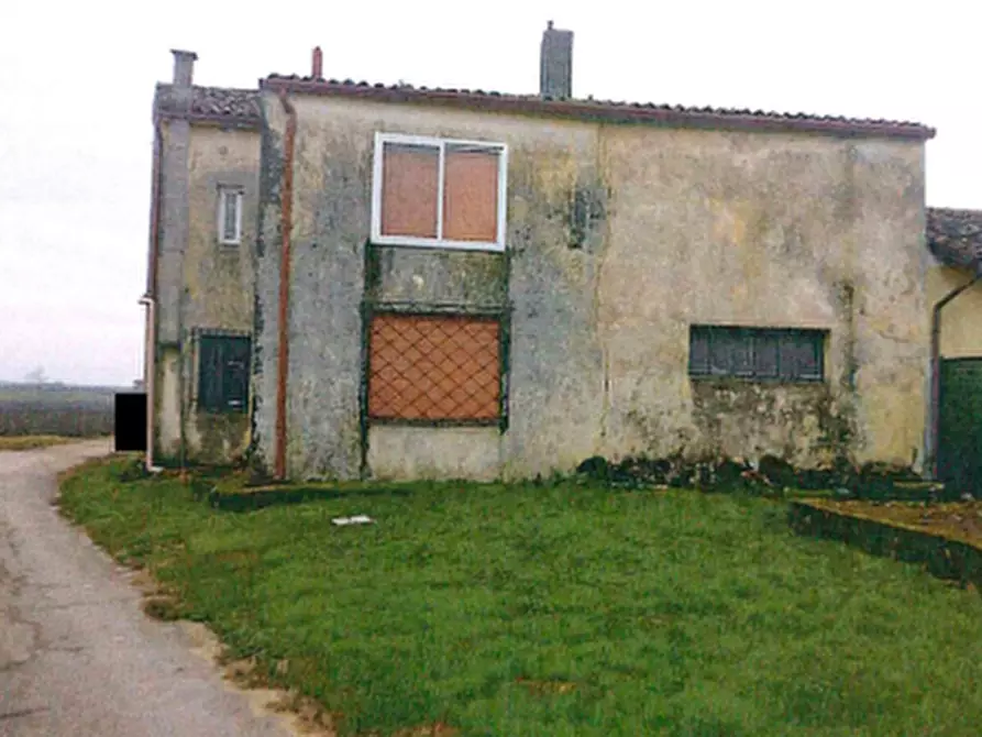 Immagine 3 di Rustico / casale in vendita  in Via Corno a Megliadino San Vitale