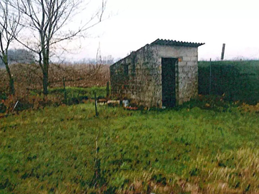 Immagine 6 di Rustico / casale in vendita  in Via Corno a Megliadino San Vitale