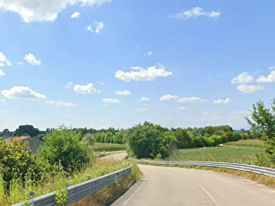 Immagine 9 di Rustico / casale in vendita  in Via Corno a Megliadino San Vitale