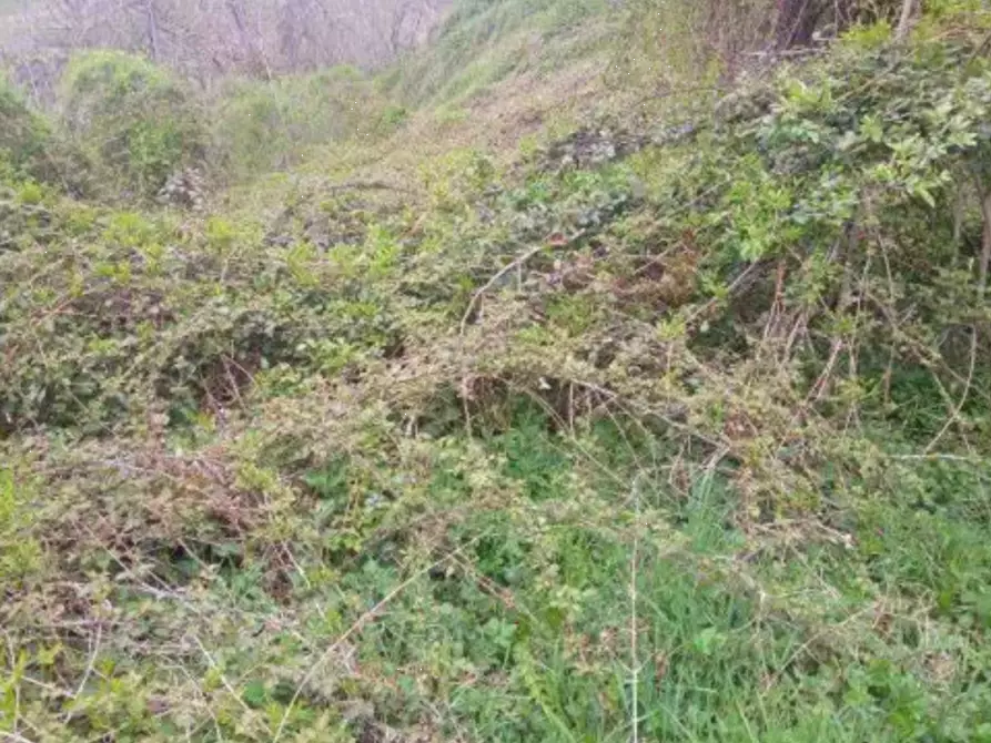 Immagine 5 di Appartamento in vendita  in Localita' Tornarezza a Ferriere