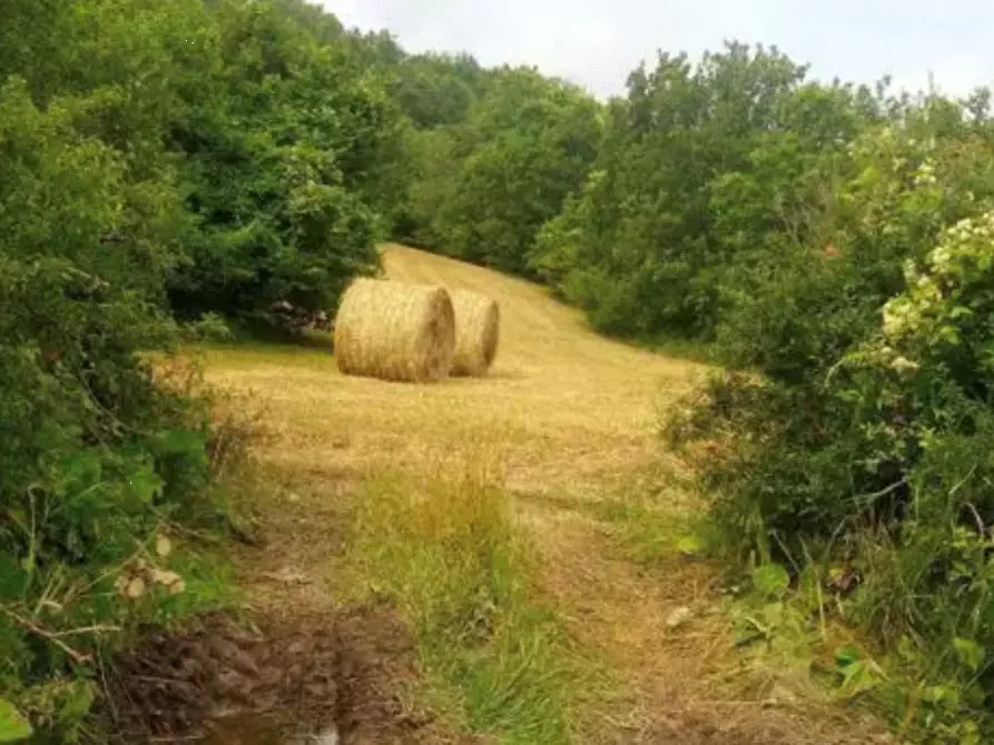 Immagine 6 di Appartamento in vendita  in Localita' Tornarezza a Ferriere