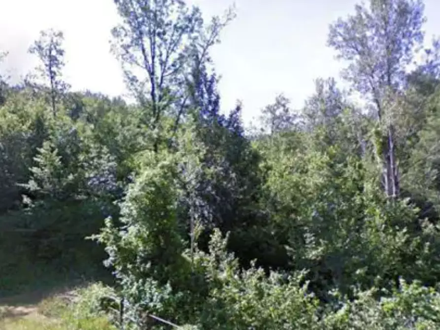 Immagine 7 di Appartamento in vendita  in Localita' Tornarezza a Ferriere