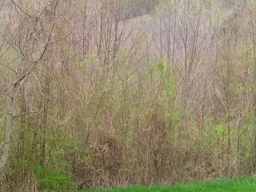 Immagine 8 di Appartamento in vendita  in Localita' Tornarezza a Ferriere