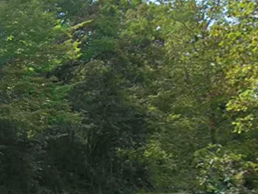 Immagine 14 di Appartamento in vendita  in Localita' Tornarezza a Ferriere