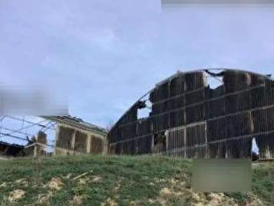Immagine 4 di Terreno agricolo in vendita  in Loc. San Gemiliano a Sestu
