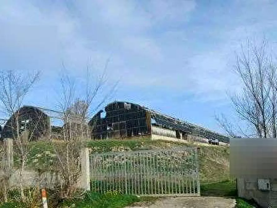 Immagine 5 di Terreno agricolo in vendita  in Loc. San Gemiliano a Sestu