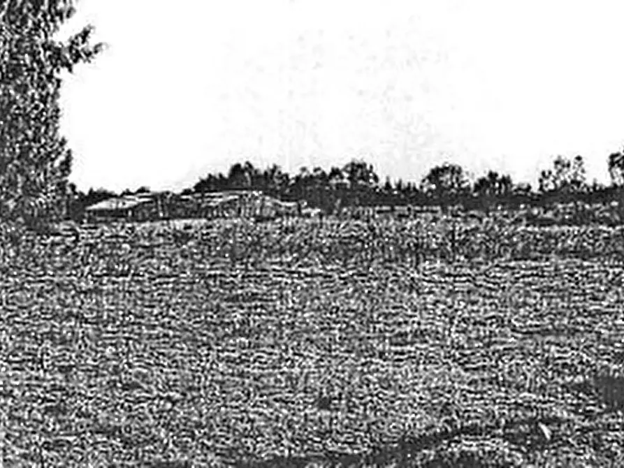 Immagine 3 di Terreno agricolo in vendita  in Località  a Uta