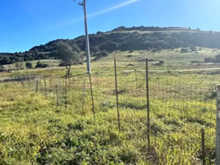 Immagine 1 di Terreno agricolo in vendita  in Villanova Truschedu a Bauladu