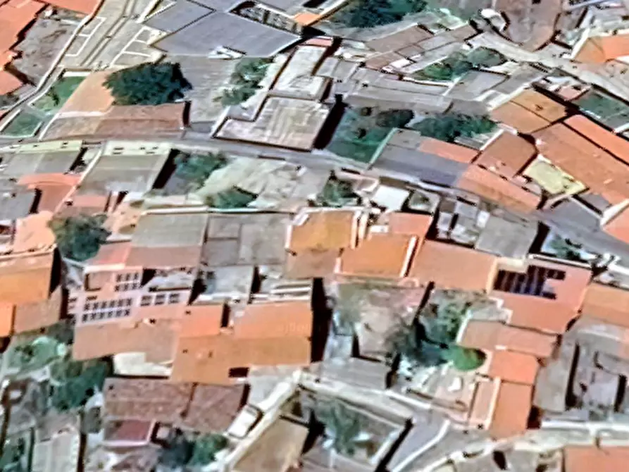 Immagine 4 di Terreno agricolo in vendita  in Villanova Truschedu a Bauladu