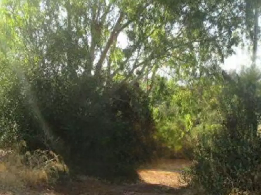 Immagine 1 di Terreno edificabile in vendita  in Località Iglesias a Iglesias
