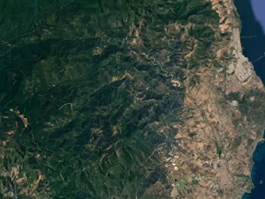 Immagine 6 di Terreno agricolo in vendita  in VIA Rio Sa Murta a Assemini