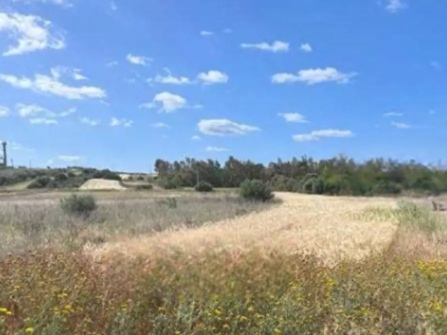 Immagine 1 di Terreno agricolo in vendita  in Località Sestu a Sestu